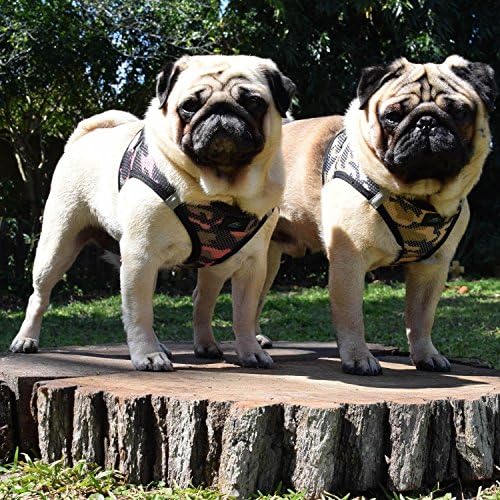 DOGGIE DESIGN American River Dog Harness Camouflage Collection - Image 3