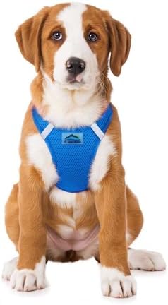 Doggie Design Dog Harness by DoggieDesign