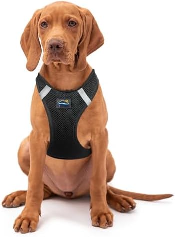 Doggie Design Dog Harness by DoggieDesign