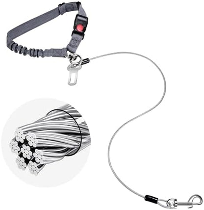 2 in 1 Chew Proof Dog Seat Belt by ROUWINNE