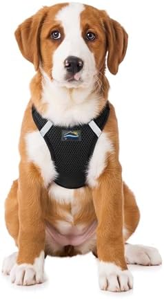 Doggie Design Dog Harness - Image 2