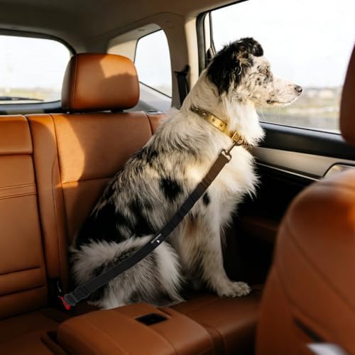 Dog Seat Belt Retractable Dog Leash Adjustable Dog Seatbelt - Image 7