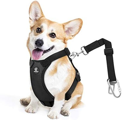 VavoPaw Dog Seat Belt Vest Harness by VavoPaw