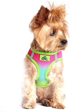 American River Choke-Free Dog Harness - Image 3