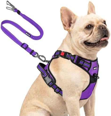 Joytale No Pull Dog Harness & Seat Belt, Easy On 3-Buckle by Joytale