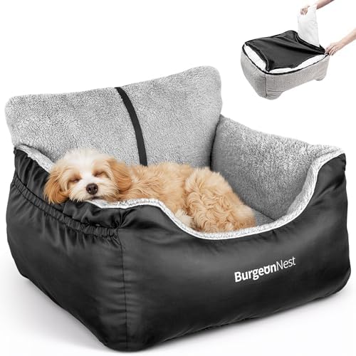 BurgeonNest Dog Car Seat for Small Dogs & Cats Under 25 lbs by Lifelongfriendsbelovedfamily