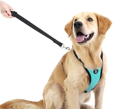 VavoPaw Dog Seat Belt Vest Harness - Image 6