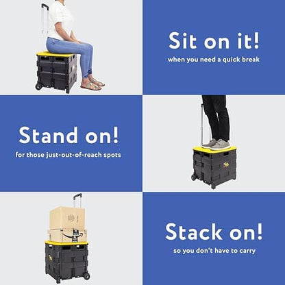 dbest Products Quik Cart Standard Collapsible Rolling Crate - Image 3