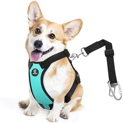 VavoPaw Dog Seat Belt Vest Harness by VavoPaw