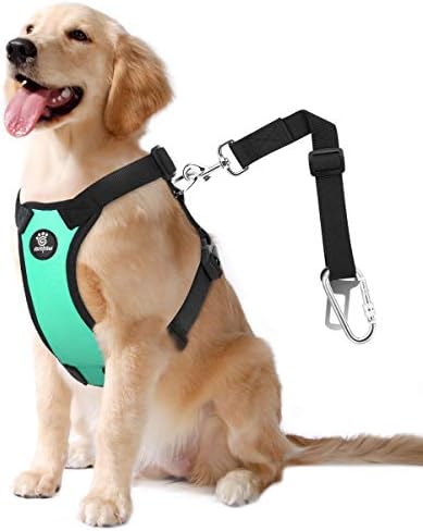 VavoPaw Dog Seat Belt Vest Harness by VavoPaw