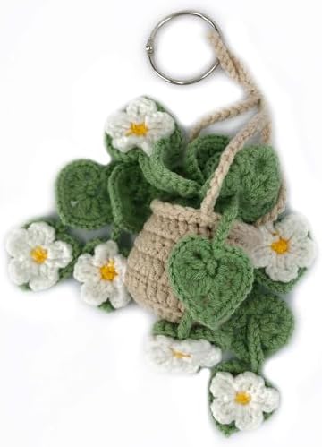 Cute Crochet Hanging Succulent Plant - Image 3