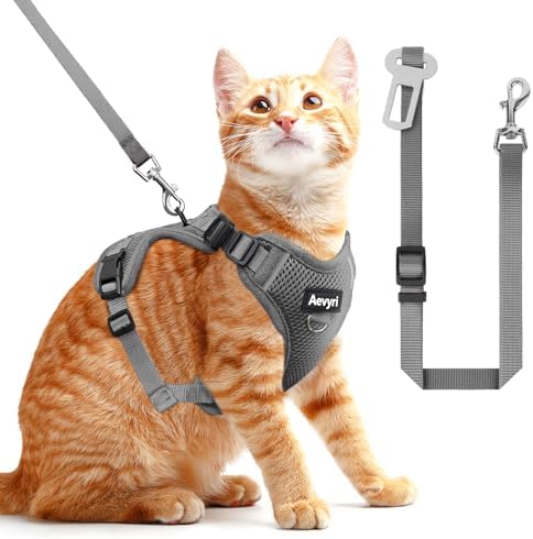 Cat Harness and Leash Set for Walking Escape Proof, Adjustable Soft Kittens Vest by Unknown