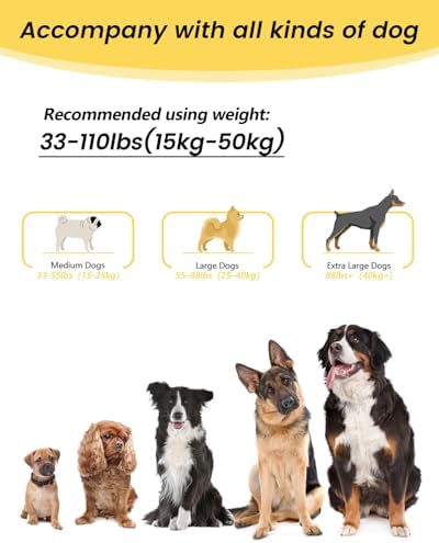 Hands Free Dog Leash - Image 6