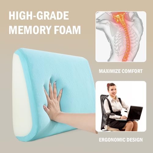 HOMBYS Lumbar Support Pillow for Recliner Chair, Memory Foam Back Support - Image 3