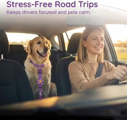2 Pack Dog Car Seat Belt, 2026 New Pet Dog Leash - Image 2