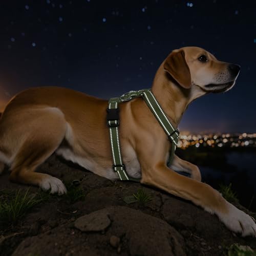 VavoPaw Dog Seat Belt Vest Harness - Image 6