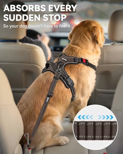 Joytale 3-in-1 Bungee Dog Seat Belt - Image 3