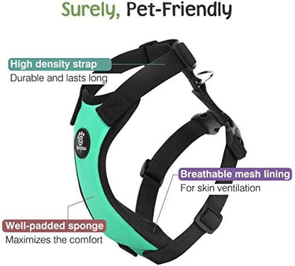 VavoPaw Dog Seat Belt Vest Harness - Image 3