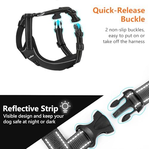 VavoPaw Dog Seat Belt Vest Harness - Image 5