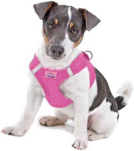 Doggie Design Dog Harness by DoggieDesign