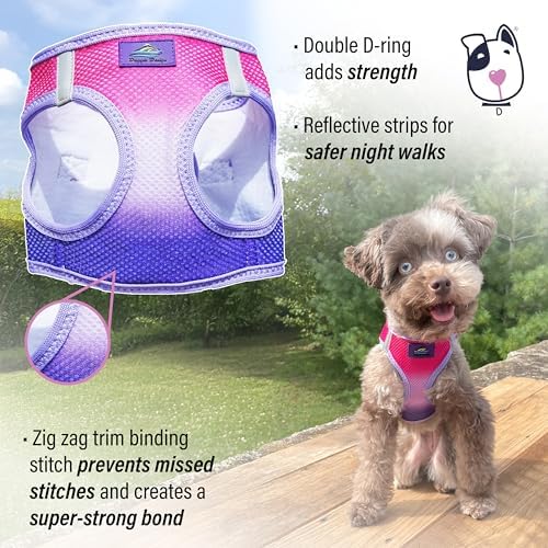 Doggie Design Dog Harness - Image 2