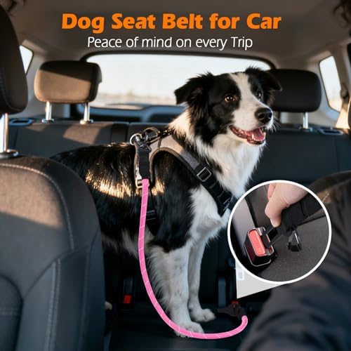 PetBonus 2 Packs Dog Seat Belt for Car, Rope Dog Car Harness for Vehicle - Image 3