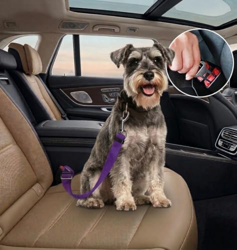 Adjustable Dog Car Seat Belt, Metal Snap Hook, Pet Safety Belt - Image 2