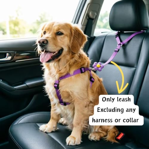 Dog Seat Belt Pet Car Leash - Image 2