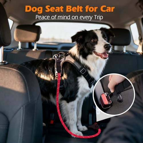 PetBonus Dog Seat Belt for Car, Durable Rope Dog Car Harness for Vehicle - Image 3
