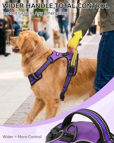 Joytale No Pull Dog Harness & Seat Belt, Easy On 3-Buckle - Image 5