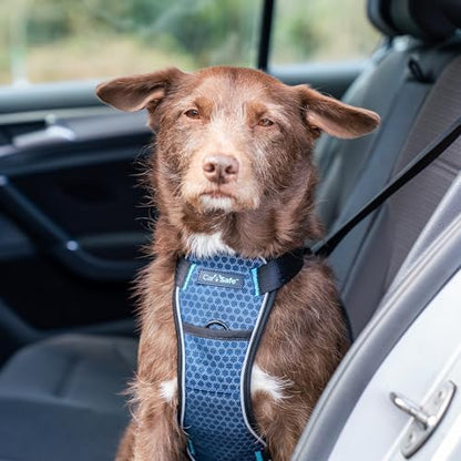 CarSafe Crash Tested Dog Safety Harness | Size S - Image 2