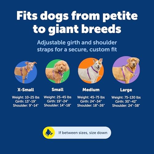 PetSafe Easy Walk 3 in 1 No Pull Dog Harness - Image 5