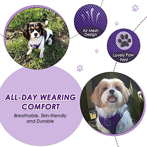 Lukovee Dog Car Harness Seat Belt, Harness & Seatbelt - Image 3