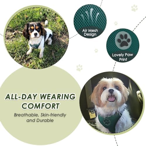 Lukovee Dog Car Harness Seat Belt, Harness & Seatbelt - Image 2