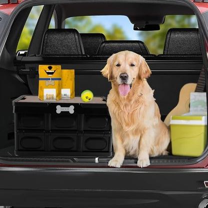 Outdoor Dog Toy Bin wtih Handles, Collapsible Dog Stuff Organizer Portable - Image 3