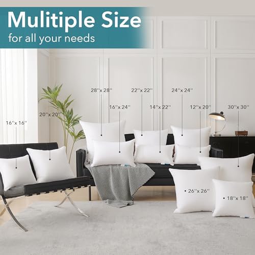 Oubonun 30 x 30 Pillow Inserts - Image 3