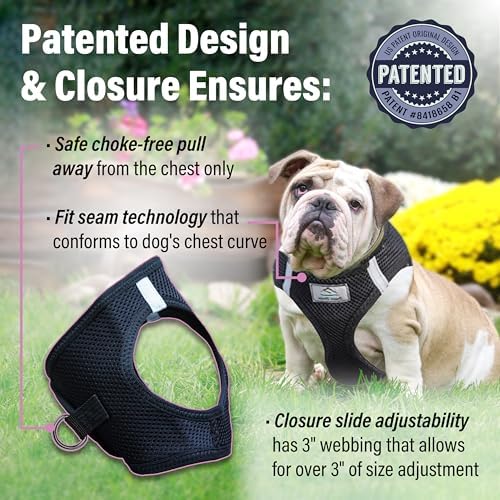 Doggie Design Dog Harness - Image 3