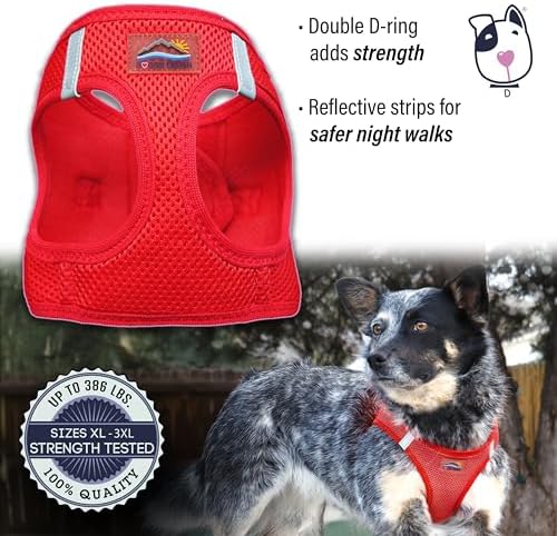 Doggie Design Dog Harness - Image 4