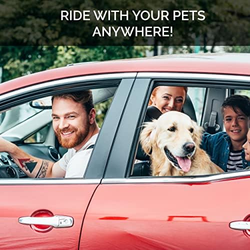 Dog Seat Belt Pet Dog Cat Car Seatbelt Safety Tether - Image 4