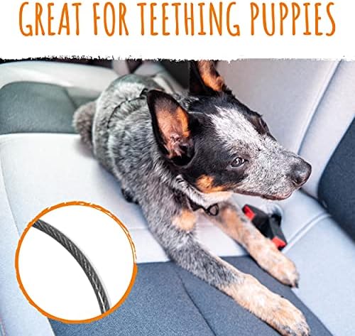 Mighty Paw Dog Seat Belt Vehicle - Image 3