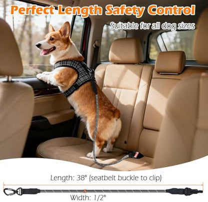 PetBonus Dog Seat Belt for Car, Durable Rope Dog Car Harness for Vehicle - Image 4