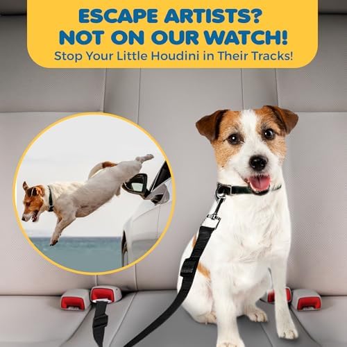 SunGrow Dog Seat Belts with Barrier, 2 Adjustable 28" Nylon Belts, and Trucks - Image 6