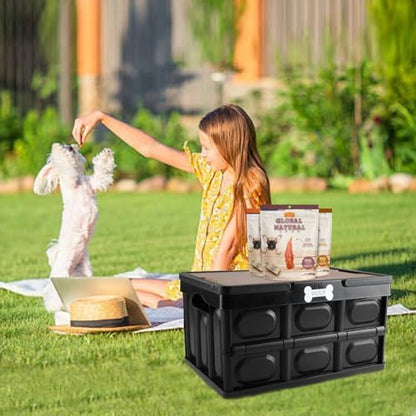 Outdoor Dog Toy Bin wtih Handles, Collapsible Dog Stuff Organizer Portable - Image 4