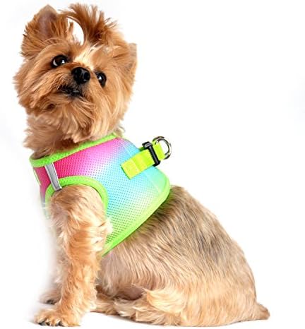 American River Choke-Free Dog Harness - Image 4