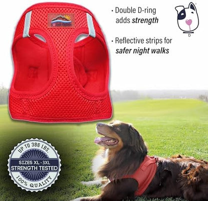 Doggie Design Dog Harness - Image 4