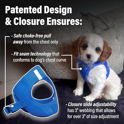 Doggie Design Dog Harness - Image 2