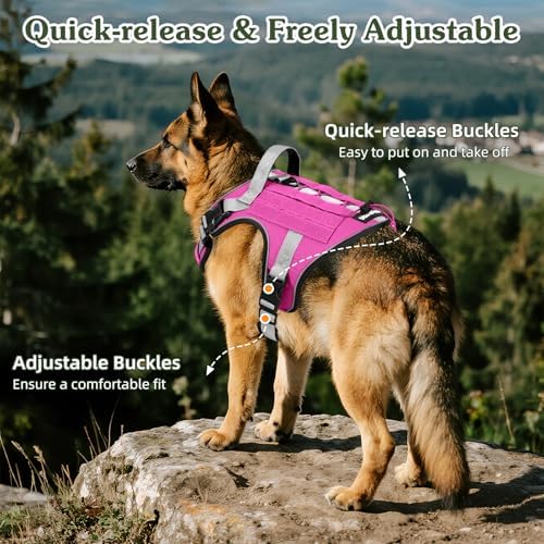 VavoPaw Heavy Duty Tactical Dog Harness - Image 4