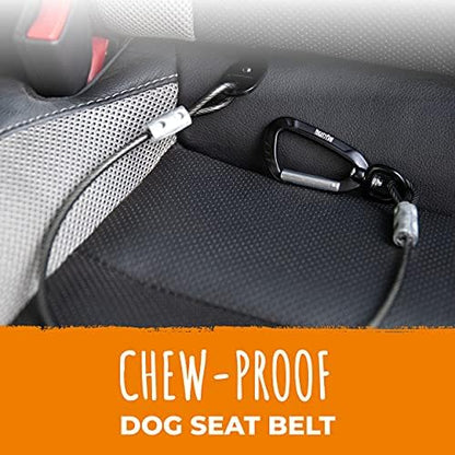 Mighty Paw Dog Seat Belt Vehicle - Image 2