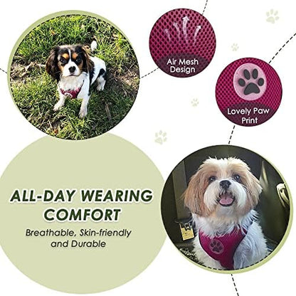 Lukovee Dog Car Harness Seat Belt, Harness & Seatbelt - Image 2