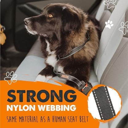 Mighty Paw Dog Seat Belt for Car, Heavy-Duty Aviation Aluminum Carabiner - Image 4
